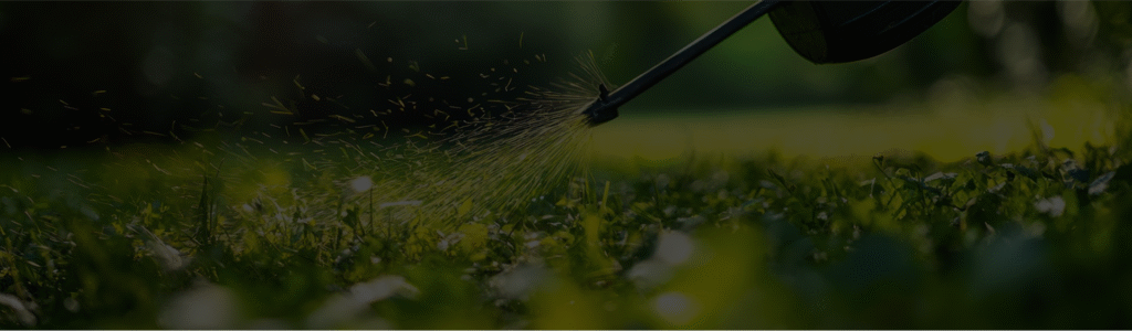 Lawn Care Services